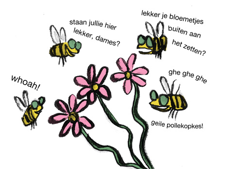 bijen-en-bloemen490